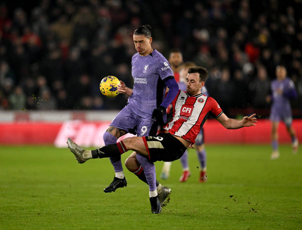 尔西在面对 尔西在面对